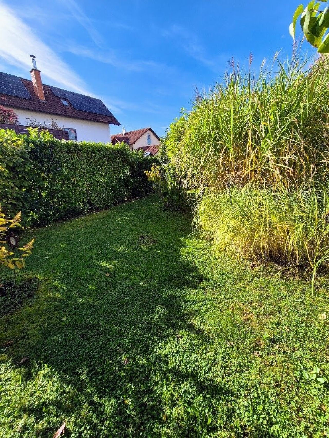 Naturnaher Garten mit etabliertem Baumbestand und Privatsphäre durch Heckeneinfriedung